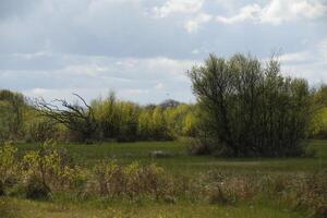 landskap, en runda promenad i de zwanenvatten natur boka i , norr holland, de nederländerna foto