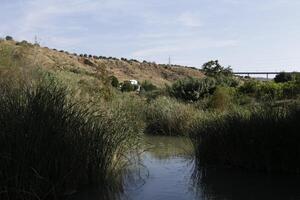 natur av las melizas, Malaga, Spanien foto