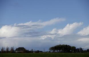 dutch landskap, nederländerna foto