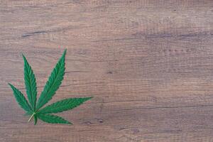 topp se av cannabis blad på trä- tabell. Plats för text. trä textur bakgrund. hampa ört grön löv för medicinsk. bruka marijuana plantage begrepp foto