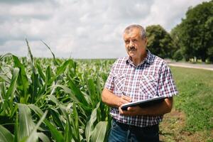 vuxen jordbrukare kontroll växter på hans odla. agronom innehar läsplatta i de majs fält och granskning gröda. jordbruksnäringen begrepp. jordbruks ingenjör stående i en majs fält med en läsplatta foto