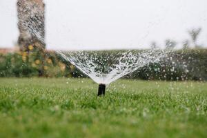 automatisk sprinkler systemet vattning de gräsmatta på en bakgrund av grön gräs, närbild foto