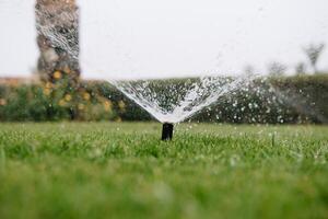 automatisk sprinkler systemet vattning de gräsmatta på en bakgrund av grön gräs, närbild foto