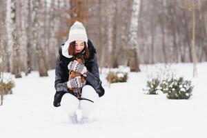 kvinna är gående under vinter- med henne hund foto