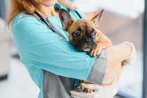 Lycklig veterinär läkare kramar valp i veterinär klinik. tömma Plats för text foto