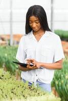 innovation teknologi för smart bruka systemet. leende afrikansk amerikan flicka checkar blommor i växthus med läsplatta i henne händer, Sol blossa foto