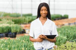 innovation teknologi för smart bruka systemet. leende afrikansk amerikan flicka checkar blommor i växthus med läsplatta i henne händer, Sol blossa foto