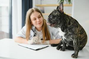 veterinär kvinna undersöker de hund och sällskapsdjur henne. djur- sjukvård sjukhus med professionell sällskapsdjur hjälp foto