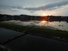 avkopplande och lugnande landskap av ett gammal bambu bro korsning ett bevattning chanel till ris fält med gyllene gul ljus från de Sol stiga foto