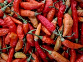 färsk röd chili för försäljning i mataffär. topp se lugg av färsk chili och mogen röd varm chili för försäljning i de marknadsföra. bakgrund bild av färsk mogen kryddad chili foto