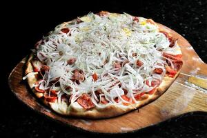kalabriska korv pizza med ost och lök foto