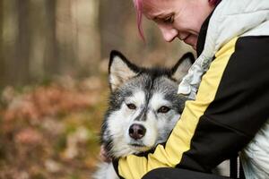 kvinna med rosa hår kramar älskad sibirisk hes hund, Sann kärlek av mänsklig och sällskapsdjur foto