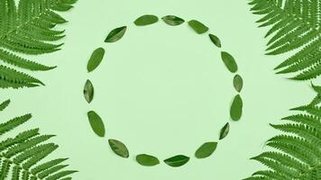 grön löv cirkel ram med ormbunke löv i vinklar, ljus grön kopia Plats i Centrum, platt lägga foto
