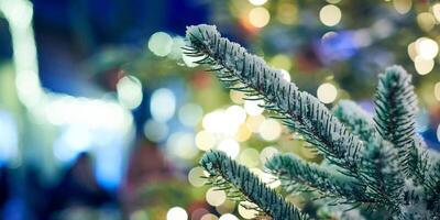 jul träd täckt snö med gul kransar lampor och bokeh kopia Plats med gnistrade lampor foto