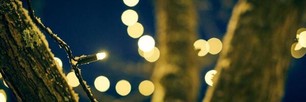 gul jul kransar på träd på nätter, gata stad dekor med xmas gul lökar med bokeh foto