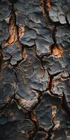 naturens mosaik- texturerad knäckt jord i enfärgad toner foto