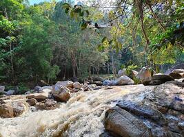 chamang flod i pahang, malaysia, är en natur mästerverk, de majestätisk flod, född från cascading vattenfall, Utsmyckad med frodig djungel vyer, en hamn för rekreation, en magnet för turister glädje. foto