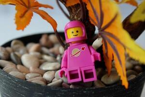 de rosa astronaut LEGO karaktär är njuter höst med en leende uttryck. foto
