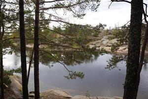 skön höst landskap. sjö se omgiven förbi skog foto