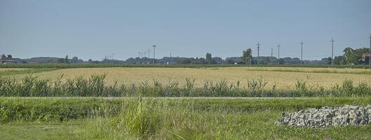 landsbygden landskap detalj foto