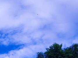 ljus blå himmel med vit moln i de morgon- foto
