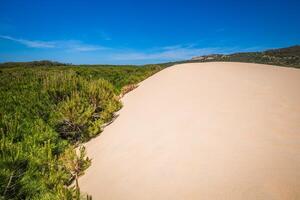 sand dyn av bolonia strand, provins cadiz, andalusien, Spanien foto