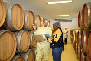 professionell vinmakare kontrollerande vin framställning bearbeta och kvalitet på vintillverkare fabrik foto