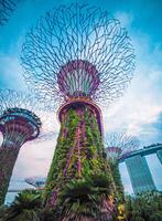 lampor i trädgårdar förbi de bukt i Singapore. foto