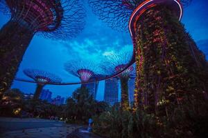 lampor i trädgårdar förbi de bukt i Singapore. foto