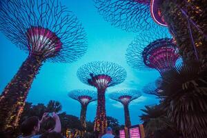 lampor i trädgårdar förbi de bukt i Singapore. foto