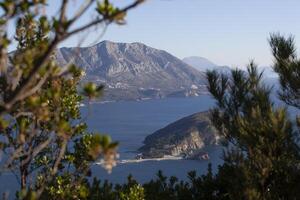 vinter- hav färgrik landskap med blå vatten av de adriatisk hav och de ö av st. nikola nära de stad av budva i montenegro. se från ovan genom de träd. horisontell foto