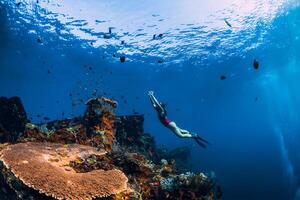 fri dykare flicka simning under vattnet över förstöra fartyg. foto