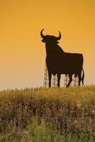 en typisk svart tjur längs de spanska vägar foto