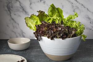 en vit keramisk pott med sallad i den foto