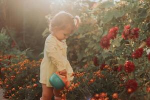 liten flicka i en gul klänning och sudd stövlar är vattning blommor i de höst trädgård foto