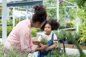 afrikansk mor och dotter är välja vegetabiliska och ört växt från de lokal- trädgård Centrum barnkammare med handla vagn full av sommar växt för helgen trädgårdsarbete och utomhus- foto