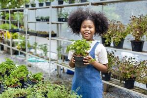 porträtt av afrikansk unge är välja vegetabiliska och persilja ört växt från de lokal- trädgård Centrum barnkammare med sommar växt för helgen trädgårdsarbete och utomhus- foto