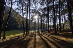 grupp av tält för över natten camping med soluppgång över de dimmig berg och stråle av ljus och campingplats av styng oung, mae hong son, thailand foto