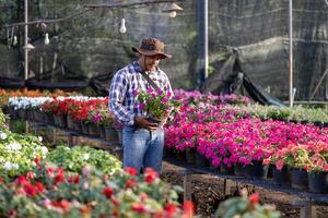 ung asiatisk trädgårdsmästare är välja blommande växt från de lokal- trädgård Centrum barnkammare full av sommar växt för helgen trädgårdsarbete och utomhus- hobby begrepp foto