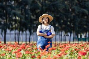 porträtt av asiatisk kvinna trädgårdsmästare är arbetssätt i de bruka innehav sekatör bland röd zinnia fält för skära blomma företag användande foto