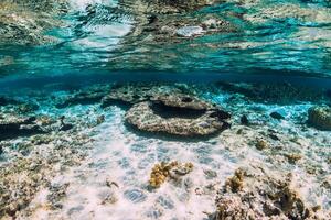 under vattnet se med koraller och fisk i hav foto