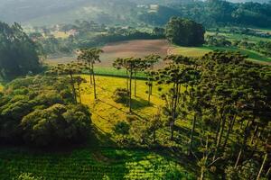 antenn se av en lantlig område med bergen och fält i urubici, Brasilien foto