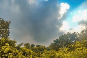 skog landskap med molnig himmel foto
