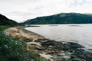 sjö i bahia lapataia mitt i bergen på tierra del fuego foto