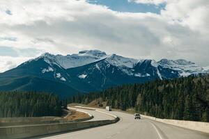 trans-kanada motorväg i banff nationell parkera, som visar de vilda djur och växter korsning planskild foto