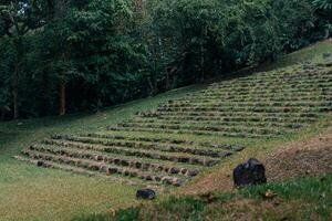 arkeologisk parkera takalik abaj i retalhuleu, maya och olmeca, guatemala - feb 2023 foto