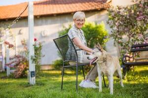 Lycklig senior kvinna och henne hes hund njut av utgifterna tid tillsammans på deras gård. foto