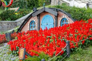 skön saga hus med gräsmatta blommor foto