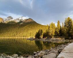 sjö Louise med tall skog i de banff nationell parkera, alberta, kanada foto