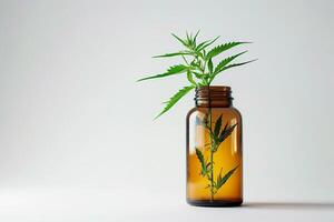 en färsk cannabis växt i ett bärnsten glas flaska foto